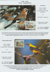 world-of-birds-pride-of-special-nature-reserve-gornje-podunavlje-72