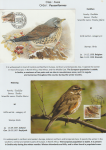 world-of-birds-pride-of-special-nature-reserve-gornje-podunavlje-73