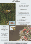 world-of-birds-pride-of-special-nature-reserve-gornje-podunavlje-77