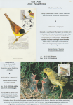 world-of-birds-pride-of-special-nature-reserve-gornje-podunavlje-78