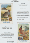 world-of-birds-pride-of-special-nature-reserve-gornje-podunavlje-80