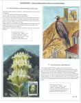 mount-athos-and-its-history-in-world-heritage_30