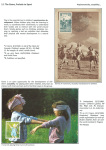 sporting-mosaic-navigating-the-diverse-landscape-of-sport_03