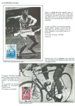 sporting-mosaic-navigating-the-diverse-landscape-of-sport_05