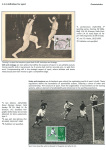 sporting-mosaic-navigating-the-diverse-landscape-of-sport_07