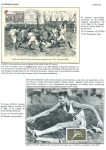 sporting-mosaic-navigating-the-diverse-landscape-of-sport_19
