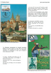 sporting-mosaic-navigating-the-diverse-landscape-of-sport_20