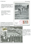 sporting-mosaic-navigating-the-diverse-landscape-of-sport_22