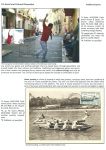 sporting-mosaic-navigating-the-diverse-landscape-of-sport_27