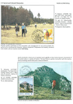 sporting-mosaic-navigating-the-diverse-landscape-of-sport_29