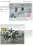 sporting-mosaic-navigating-the-diverse-landscape-of-sport_30