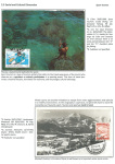 sporting-mosaic-navigating-the-diverse-landscape-of-sport_32