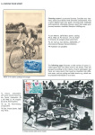 sporting-mosaic-navigating-the-diverse-landscape-of-sport_33