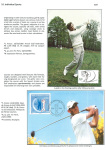 sporting-mosaic-navigating-the-diverse-landscape-of-sport_36