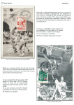 sporting-mosaic-navigating-the-diverse-landscape-of-sport_37