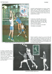 sporting-mosaic-navigating-the-diverse-landscape-of-sport_38