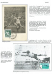 sporting-mosaic-navigating-the-diverse-landscape-of-sport_40
