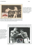 sporting-mosaic-navigating-the-diverse-landscape-of-sport_41
