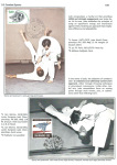 sporting-mosaic-navigating-the-diverse-landscape-of-sport_43