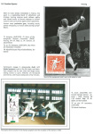 sporting-mosaic-navigating-the-diverse-landscape-of-sport_44