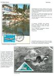 sporting-mosaic-navigating-the-diverse-landscape-of-sport_45