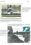 sporting-mosaic-navigating-the-diverse-landscape-of-sport_46