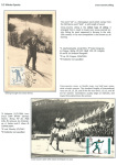 sporting-mosaic-navigating-the-diverse-landscape-of-sport_50