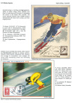 sporting-mosaic-navigating-the-diverse-landscape-of-sport_51