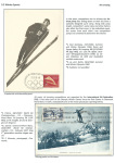 sporting-mosaic-navigating-the-diverse-landscape-of-sport_53