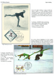 sporting-mosaic-navigating-the-diverse-landscape-of-sport_55
