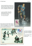 sporting-mosaic-navigating-the-diverse-landscape-of-sport_56