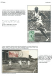 sporting-mosaic-navigating-the-diverse-landscape-of-sport_58
