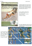 sporting-mosaic-navigating-the-diverse-landscape-of-sport_59