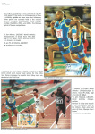 sporting-mosaic-navigating-the-diverse-landscape-of-sport_60