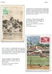 sporting-mosaic-navigating-the-diverse-landscape-of-sport_61