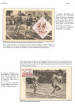 sporting-mosaic-navigating-the-diverse-landscape-of-sport_62