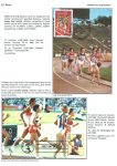 sporting-mosaic-navigating-the-diverse-landscape-of-sport_63