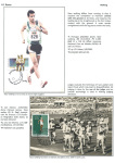 sporting-mosaic-navigating-the-diverse-landscape-of-sport_65