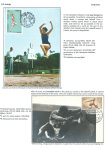 sporting-mosaic-navigating-the-diverse-landscape-of-sport_67