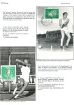 sporting-mosaic-navigating-the-diverse-landscape-of-sport_71
