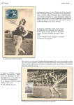sporting-mosaic-navigating-the-diverse-landscape-of-sport_72