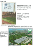 sporting-mosaic-navigating-the-diverse-landscape-of-sport_75