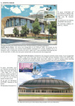 sporting-mosaic-navigating-the-diverse-landscape-of-sport_80