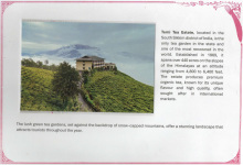 serenity-of-nature_11