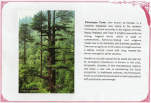 serenity-of-nature_27