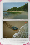 serenity-of-nature_31
