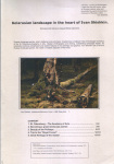 belorussian-landscape-in-the-heart-of-ivan-shishkin-01