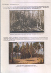 belorussian-landscape-in-the-heart-of-ivan-shishkin-04