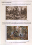 belorussian-landscape-in-the-heart-of-ivan-shishkin-06