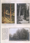 belorussian-landscape-in-the-heart-of-ivan-shishkin-07